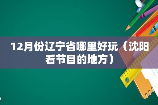 12月份辽宁省哪里好玩（沈阳看节目的地方）