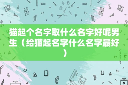 猫起个名字取什么名字好呢男生（给猫起名字什么名字最好）