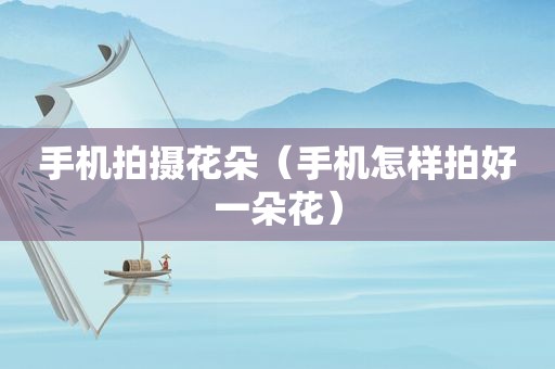 手机拍摄花朵（手机怎样拍好一朵花）