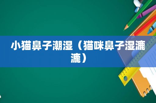 小猫鼻子潮湿（猫咪鼻子湿漉漉）