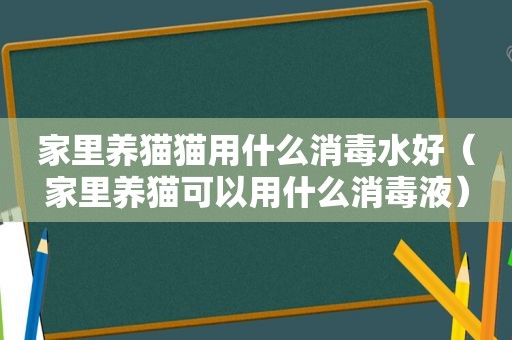 家里养猫猫用什么消毒水好（家里养猫可以用什么消毒液）