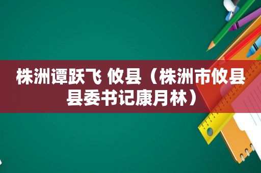 株洲谭跃飞 攸县（株洲市攸县县委书记康月林）