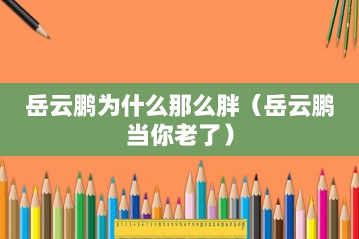 岳云鹏为什么那么胖（岳云鹏当你老了）