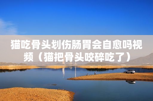猫吃骨头划伤肠胃会自愈吗视频（猫把骨头咬碎吃了）