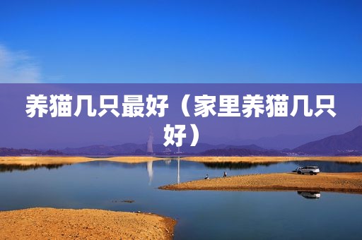 养猫几只最好（家里养猫几只好）