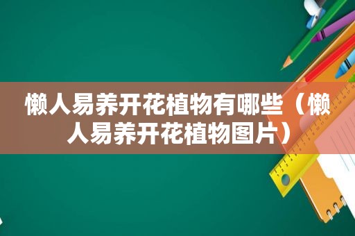 懒人易养开花植物有哪些（懒人易养开花植物图片）