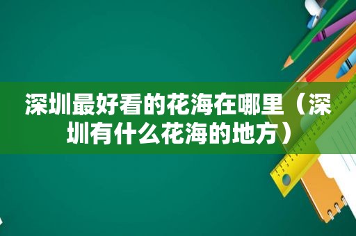 深圳最好看的花海在哪里（深圳有什么花海的地方）