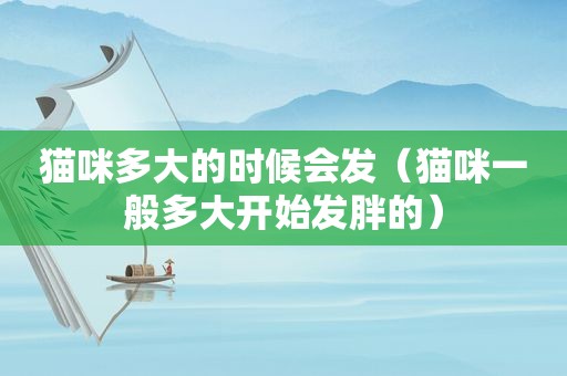 猫咪多大的时候会发（猫咪一般多大开始发胖的）