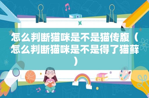 怎么判断猫咪是不是猫传腹（怎么判断猫咪是不是得了猫藓）