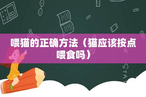 喂猫的正确方法（猫应该按点喂食吗）