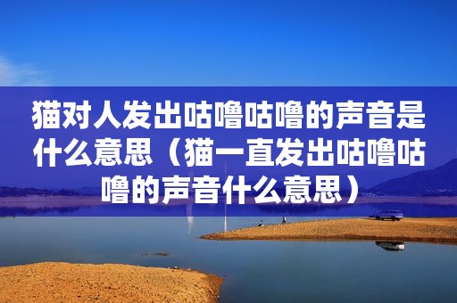 猫对人发出咕噜咕噜的声音是什么意思（猫一直发出咕噜咕噜的声音什么意思）