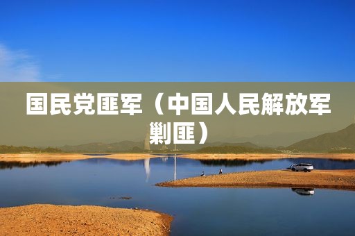  *** 匪军（中国人民 *** 剿匪）
