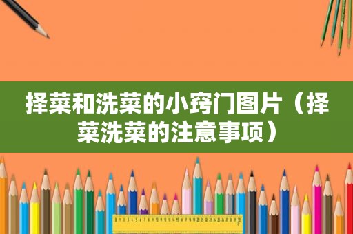 择菜和洗菜的小窍门图片（择菜洗菜的注意事项）