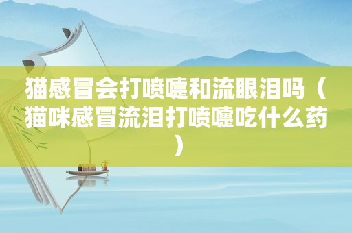 猫感冒会打喷嚏和流眼泪吗（猫咪感冒流泪打喷嚏吃什么药）