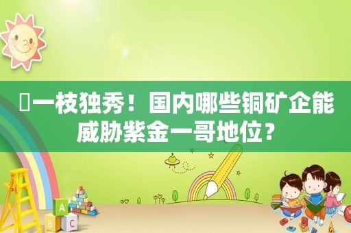 ​一枝独秀！国内哪些铜矿企能威胁紫金一哥地位？