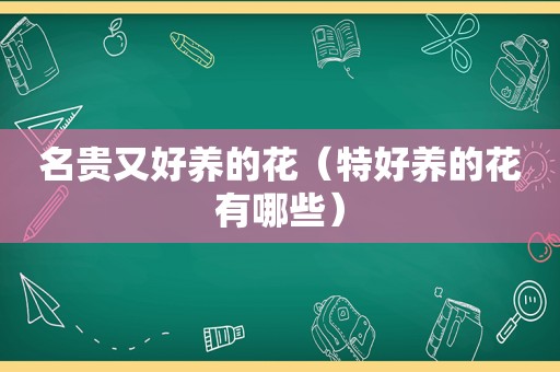 名贵又好养的花（特好养的花有哪些）