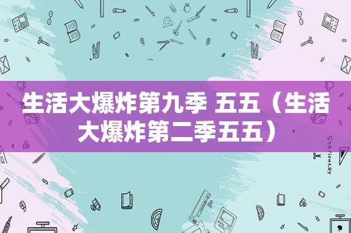 生活大爆炸第九季 五五（生活大爆炸第二季五五）