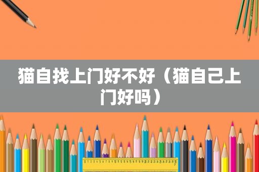 猫自找上门好不好（猫自己上门好吗）