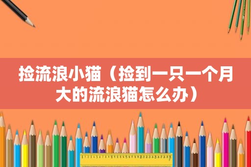 捡流浪小猫（捡到一只一个月大的流浪猫怎么办）