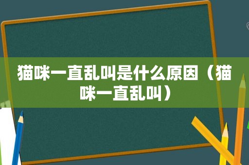 猫咪一直乱叫是什么原因（猫咪一直乱叫）