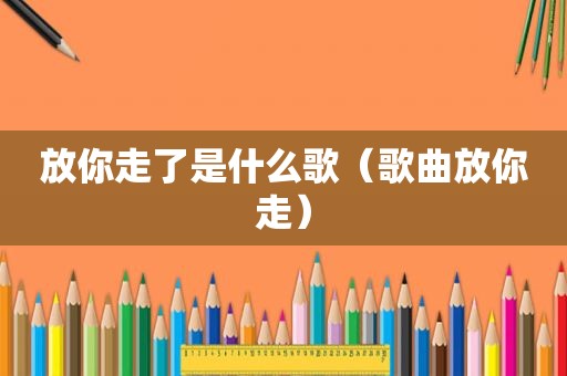 放你走了是什么歌（歌曲放你走）