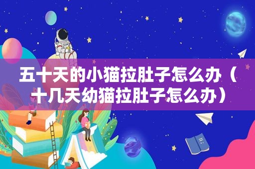 五十天的小猫拉肚子怎么办（十几天幼猫拉肚子怎么办）