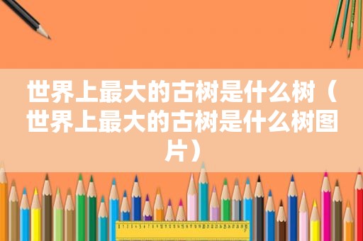 世界上最大的古树是什么树（世界上最大的古树是什么树图片）