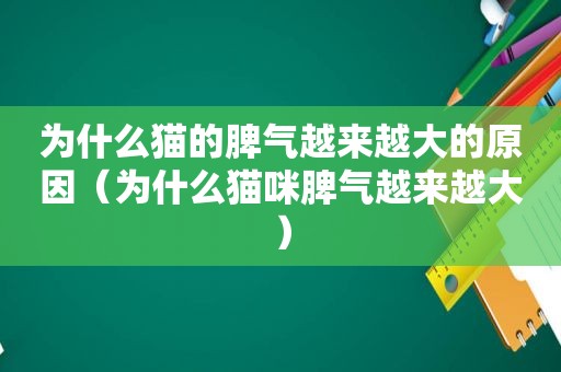 为什么猫的脾气越来越大的原因（为什么猫咪脾气越来越大）