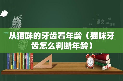 从猫咪的牙齿看年龄（猫咪牙齿怎么判断年龄）