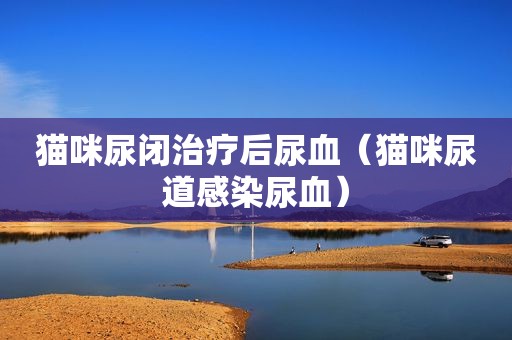 猫咪尿闭治疗后尿血（猫咪尿道感染尿血）