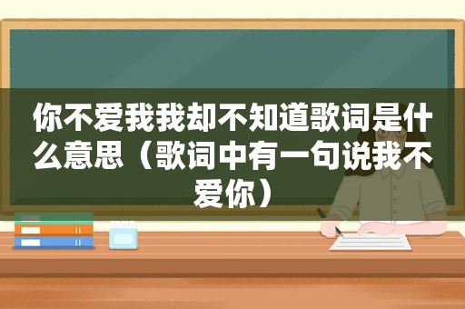 你不爱我我却不知道歌词是什么意思（歌词中有一句说我不爱你）