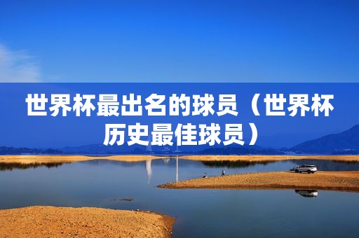 世界杯最出名的球员（世界杯历史最佳球员）