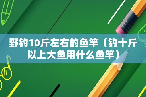 野钓10斤左右的鱼竿（钓十斤以上大鱼用什么鱼竿）
