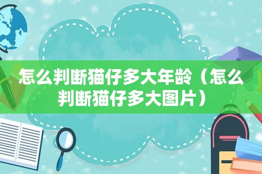 怎么判断猫仔多大年龄（怎么判断猫仔多大图片）