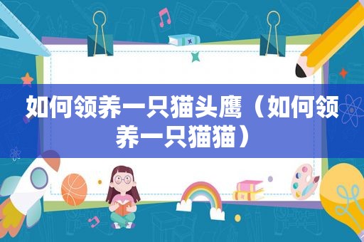 如何领养一只猫头鹰（如何领养一只猫猫）