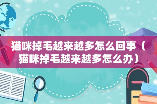 猫咪掉毛越来越多怎么回事（猫咪掉毛越来越多怎么办）