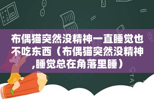 布偶猫突然没精神一直睡觉也不吃东西（布偶猫突然没精神,睡觉总在角落里睡）