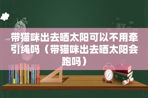 带猫咪出去晒太阳可以不用牵引绳吗（带猫咪出去晒太阳会跑吗）