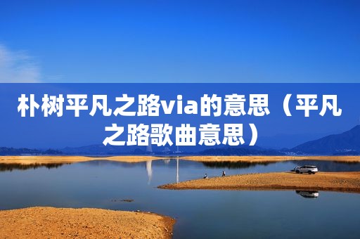 朴树平凡之路via的意思（平凡之路歌曲意思）