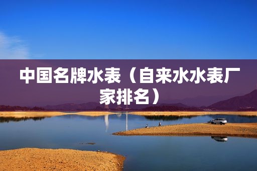 中国名牌水表（自来水水表厂家排名）