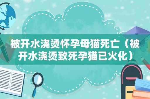 被开水浇烫怀孕母猫死亡（被开水浇烫致死孕猫已火化）
