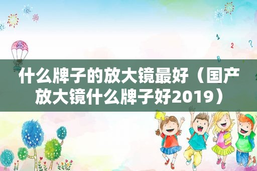 什么牌子的放大镜最好（国产放大镜什么牌子好2019）