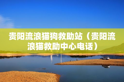 贵阳流浪猫狗救助站（贵阳流浪猫救助中心电话）