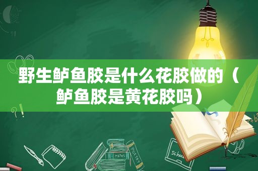 野生鲈鱼胶是什么花胶做的（鲈鱼胶是黄花胶吗）