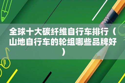 全球十大碳纤维自行车排行（山地自行车的轮组哪些品牌好）
