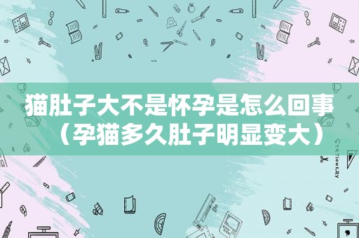猫肚子大不是怀孕是怎么回事（孕猫多久肚子明显变大）