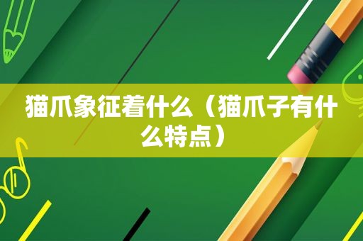 猫爪象征着什么（猫爪子有什么特点）