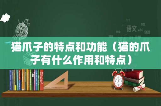 猫爪子的特点和功能（猫的爪子有什么作用和特点）