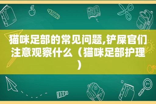 猫咪足部的常见问题,铲屎官们注意观察什么（猫咪足部护理）