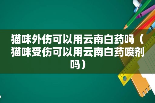 猫咪外伤可以用云南白药吗（猫咪受伤可以用云南白药喷剂吗）
